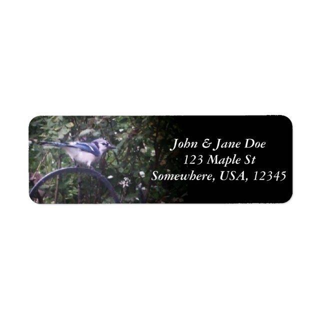 BlueJay 2 (Front)