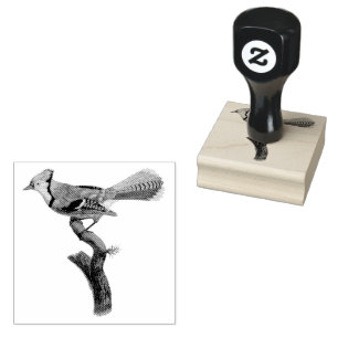 BlueJay Bird on a Branch Vintage Illustration Rubber Stamp
