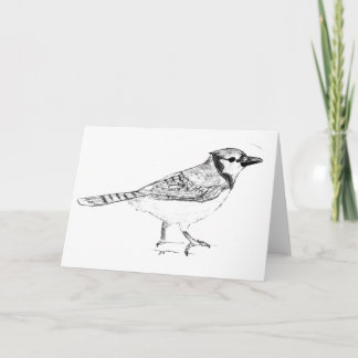 Bluejay Card