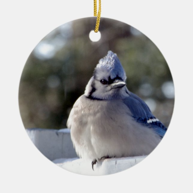 Bluejay Ceramic Tree Decoration (Front)