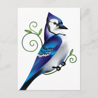 Bluejay Day Postcard