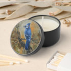 Bluejay "Jaybird" [original] by Jason Street
