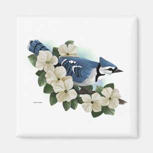 Bluejay Magnet