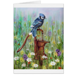 Bluejay: peaceful Perch