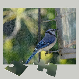 Bluejay Perched on Birdfeeder Jigsaw Puzzle