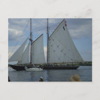Bluenose Schooner Tall-Ship Racing Postcard