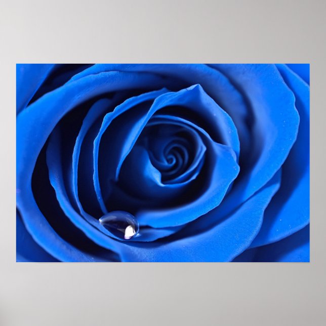 BlueRose Poster (Front)
