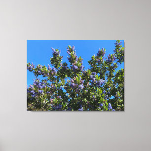 Blues Canvas Print
