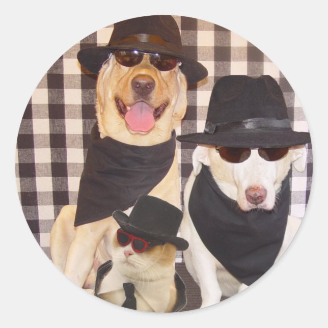 Blues Labs & Cool Cat Classic Round Sticker (Front)