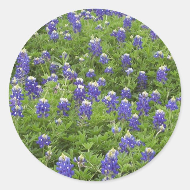 Blues Power Classic Round Sticker (Front)