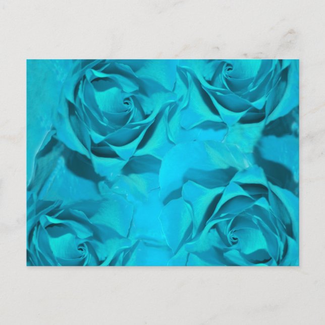 Blues roses postcard (Front)