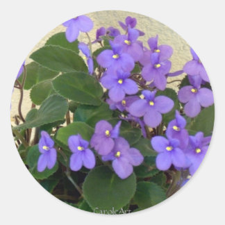 Bluest Blue Violets Classic Round Sticker