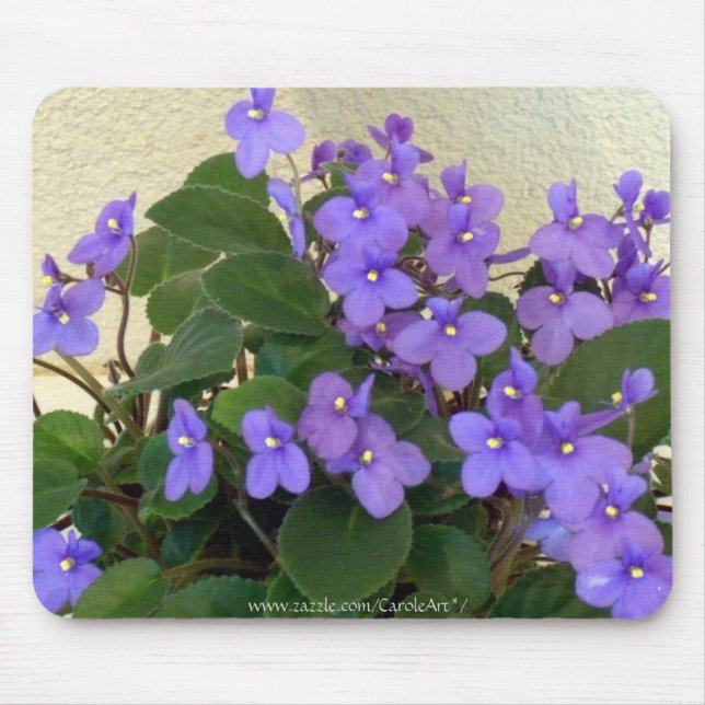Bluest Blue Violets Mouse Pad (Front)