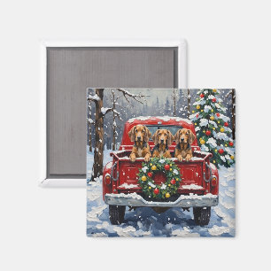 Bluetick Coonhound Christmas Red Truck Holiday Magnet