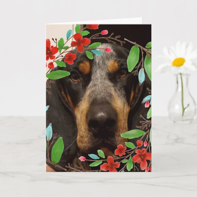 Bluetick Coonhound Dog/ Pet Photo Card (Small Plant)