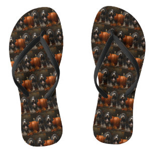 Bluetick Coonhound Puppy Autumn Delight Pumpkin  Jandals