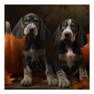 Bluetick Coonhound Puppy Autumn Delight Pumpkin Poster