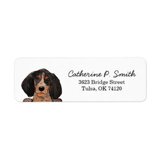 Bluetick coonhound return address
