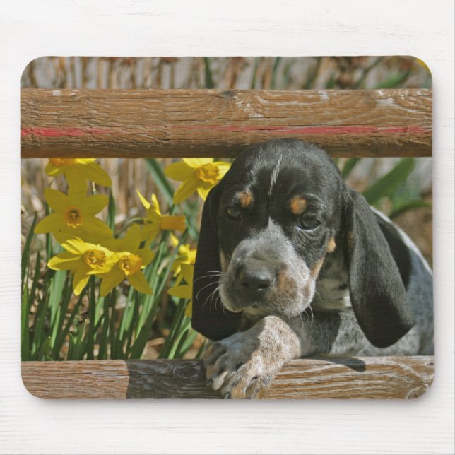 Bluetick puppy mouse pad (Front)