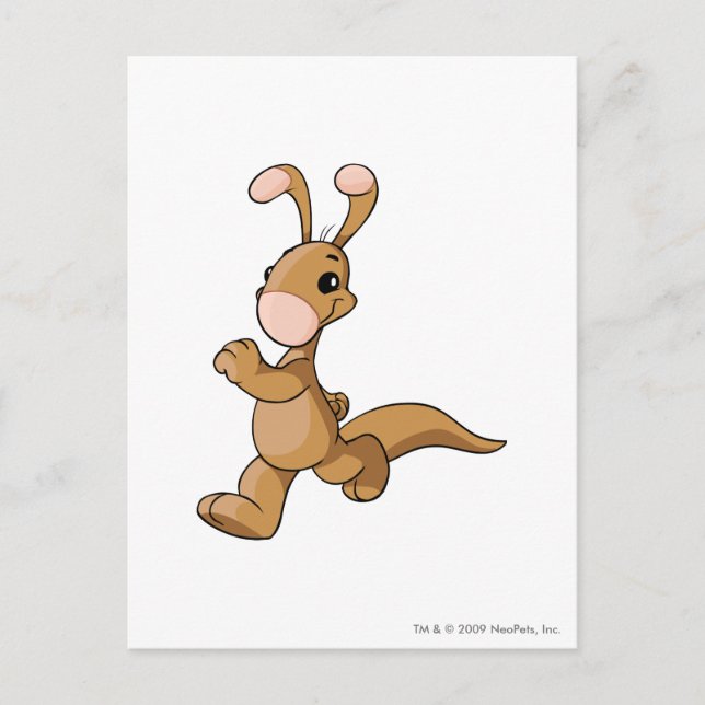 Blumaroo Brown Postcard (Front)