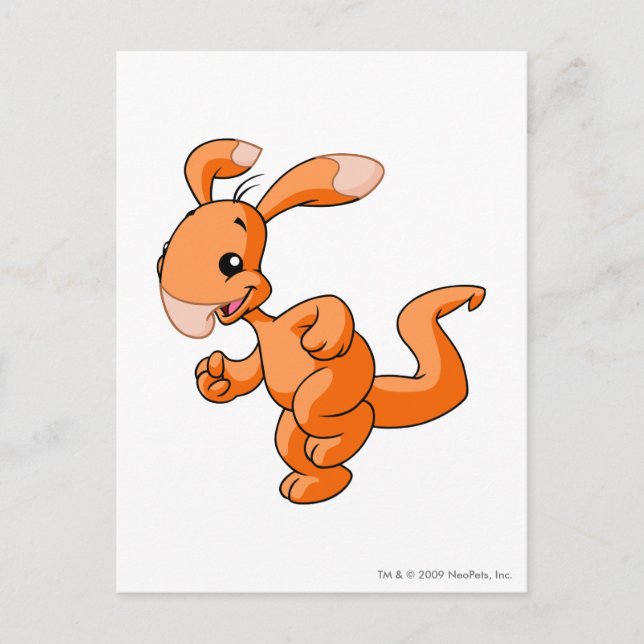 Blumaroo Orange Postcard (Front)