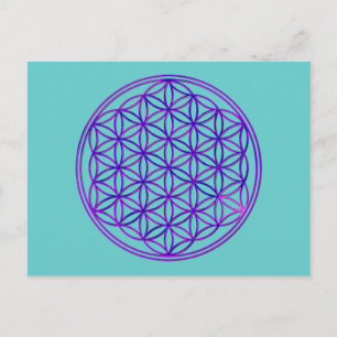 Blume des Lebens / Flower Of Life   pink blue Postcard