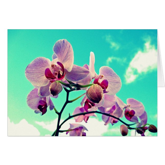 Blumen (Front Horizontal)