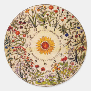 Blumenuhr Flower Clock Sticker