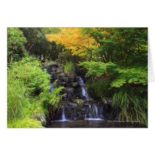 Blurred Rock Waterfall, Maple Green & Orange Trees
