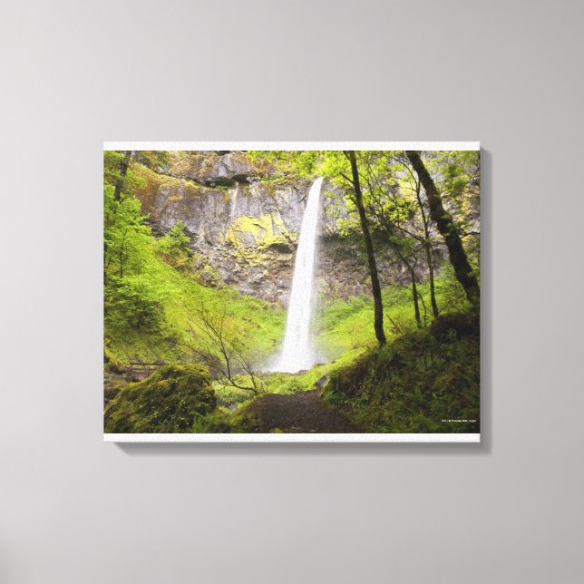 Blurred Waterfall around lush Greenery in Oregon Canvas Print (Front)