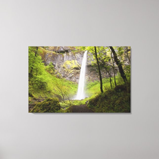 Blurred Waterfall around lush Greenery in Oregon Canvas Print (Front)