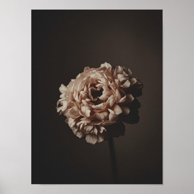 Blush Bouquet Study Poster (Front)