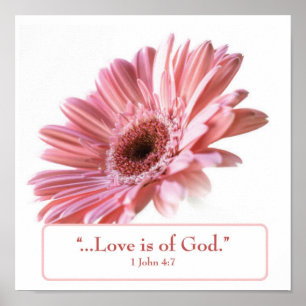 "Blush" Daisy Poster