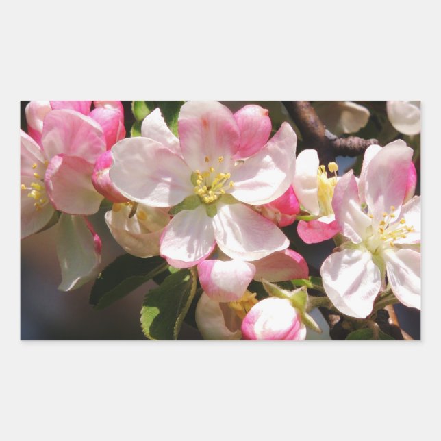 Blush Flower Easter Stickers (Front)