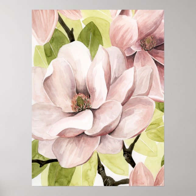 Blush Magnolia Flowers Poster (Front)