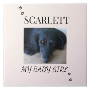 Blush Minimal Pet 1 Photo with Paw Prints Tile