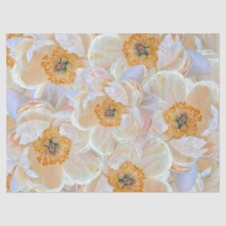 Blush Peony Tissue Paper