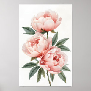 Blush Peony Watercolor Botanical Wall Art