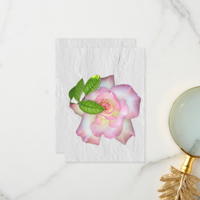 Blush Pink and White Rose Blank Inside Note Thank You Card (Front/Back In Situ)