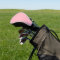 Blush Pink Golf Head Cover - Stylish Protection