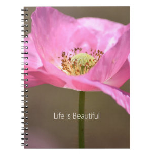 Blush Pink Iceland Poppy Flower (my photography) Notebook
