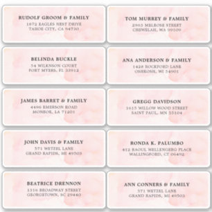 Blush Pink Ivory watercolor Wedding Guest Address