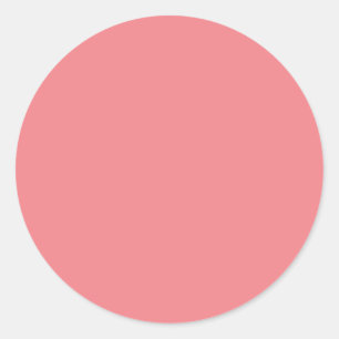 Blush Pink Minimalist Circle Stickers