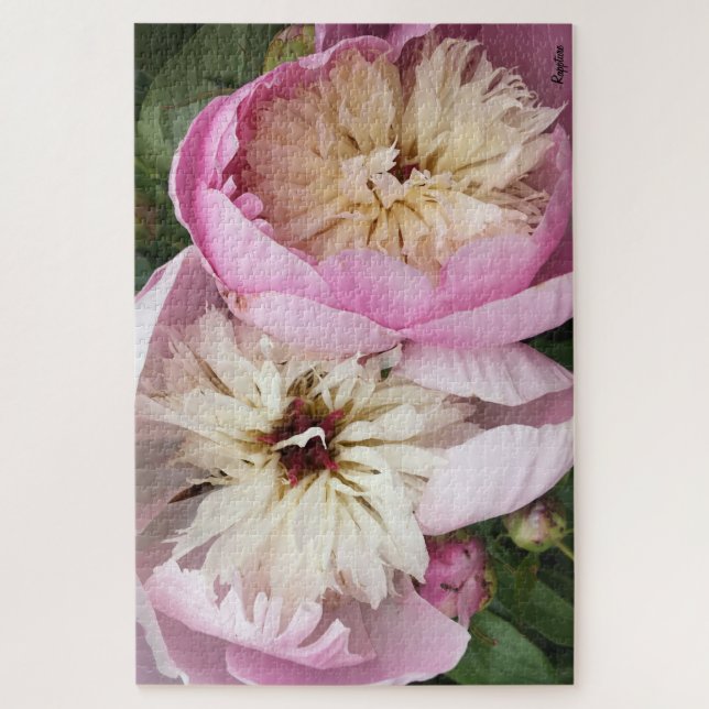 Blush Pink Peonies 1000 piece Puzzle (Vertical)