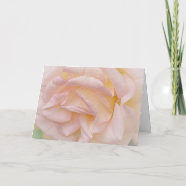 Blush Pink Rose and Petals Note Card (Front)