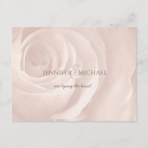 Blush pink rose elegant wedding save the date announcement postcard