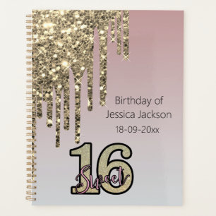 Blush Pink Rose Gold Sweet Sixteen Planner