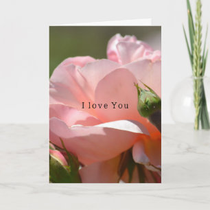 Blush Pink Rose Love (photography by me) Card