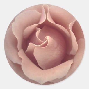 BLUSH PINK Rose - Wedding Envelope Seal