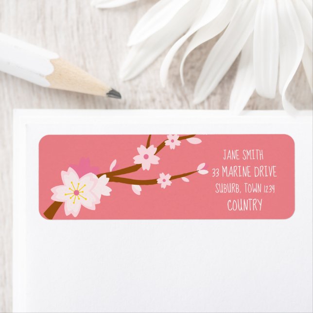 Blush pink Sakura CHerry Blossom Japanese (Insitu)